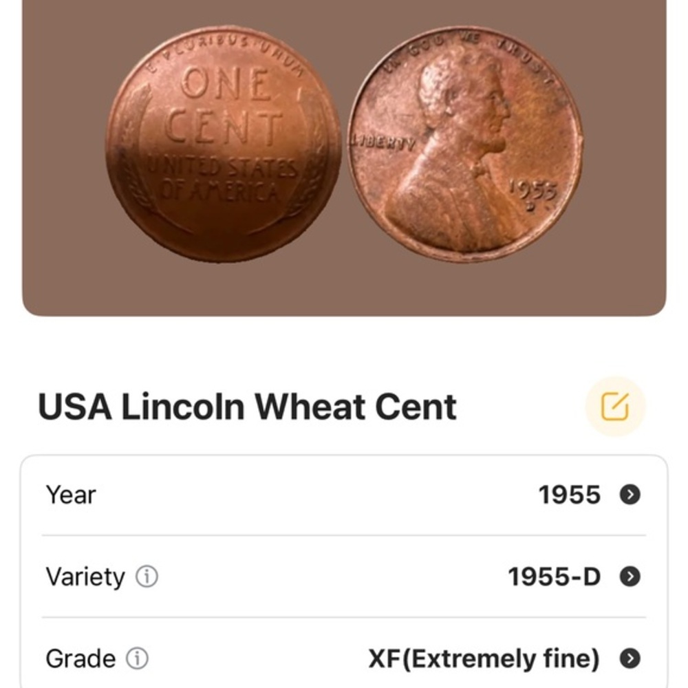 1955 D Lincoln Wheat Penny